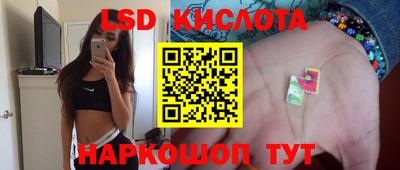 PSILOCYBIN Кинель