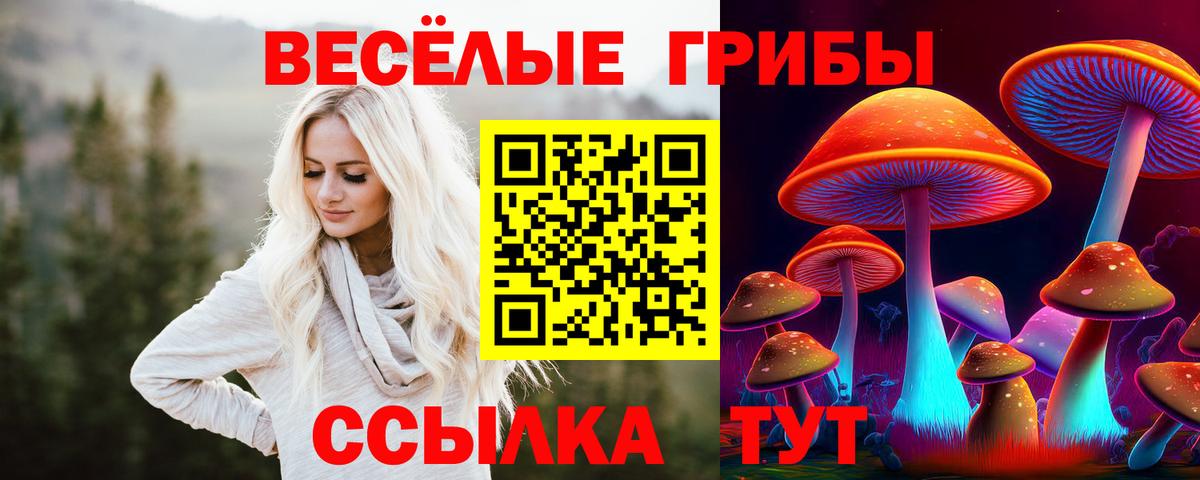 Галлюциногенные грибы Cubensis Котельники