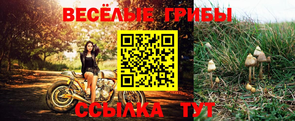 Галлюциногенные грибы прущие грибы  Вход с VPN  Котельники 